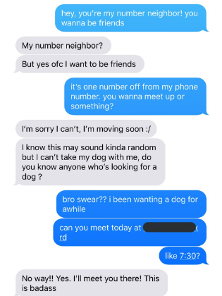 Dog