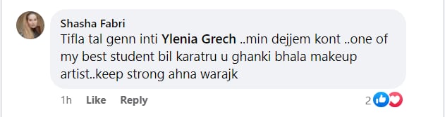 Shasha Fabri Gwida.mt