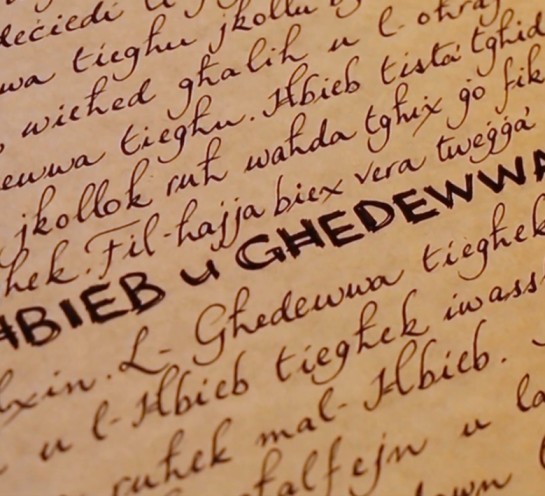 ħbieb u għedewwa