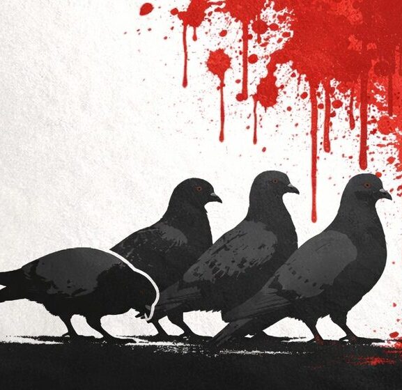 Vuċi għall-ħamiem