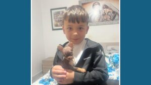 mfittex kelb ta' tifel