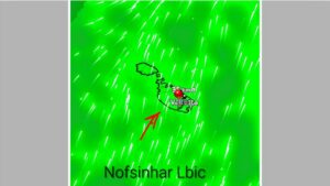 Mid-Djarju tat-Timba