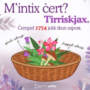 Avviż dwar faqqiegħ u pjanrti selvaġġi